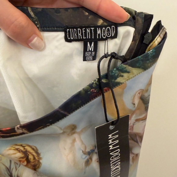 Davinci Mini Skirt Fine Art Print - Picture 3 of 3